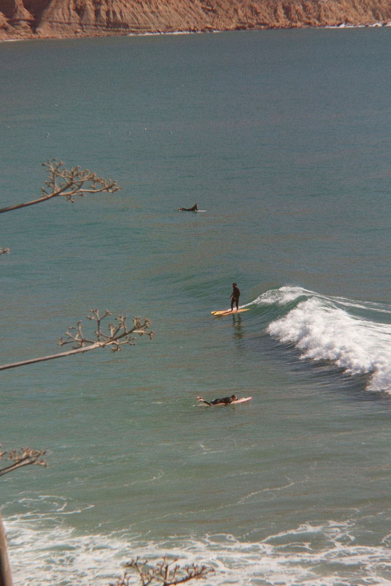 Trabaja, surfea y alójate
