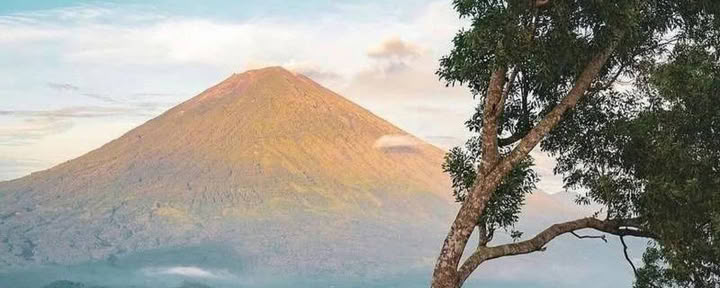 Bali Oriental Mágico