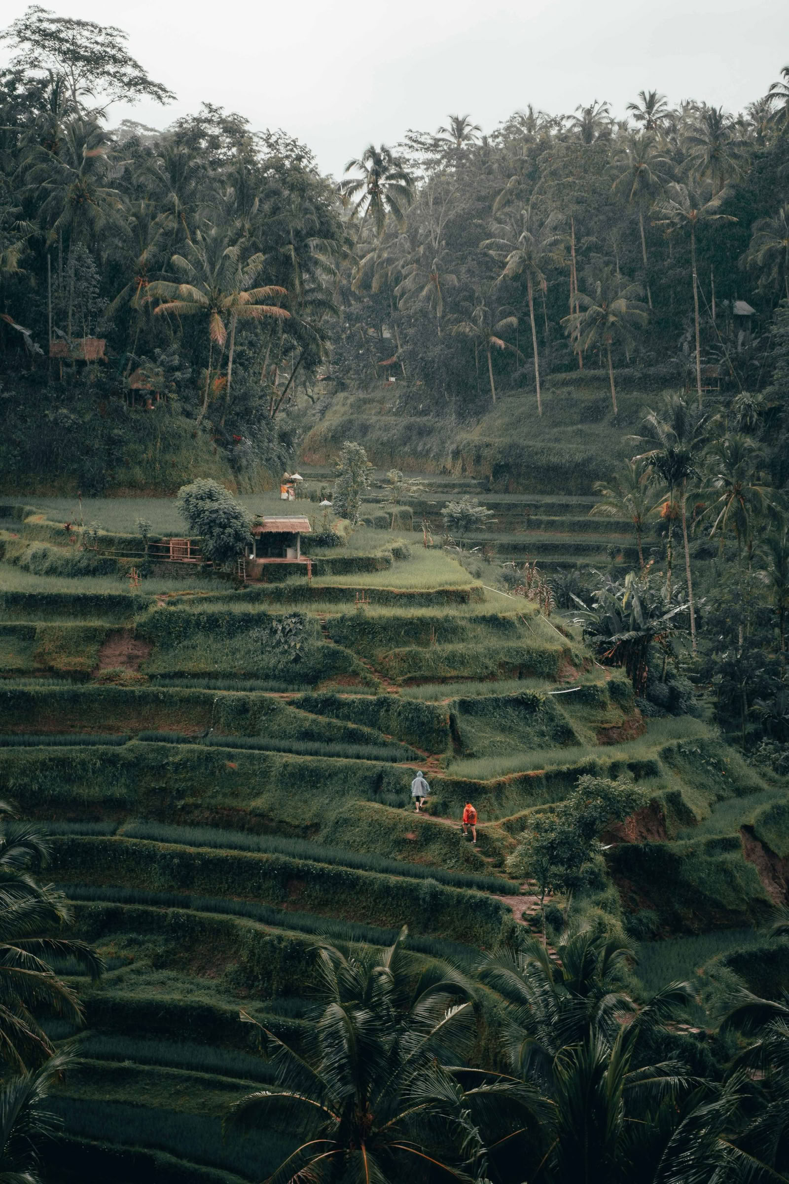 Explora la campiña de Bali