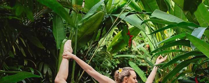 Formación de profesores de yoga de 300 h