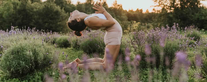 Flexibilidad