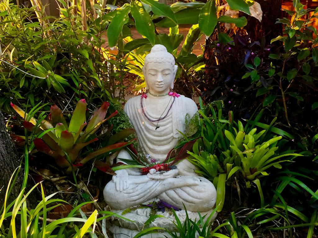 Retiro de Yoga Radiante