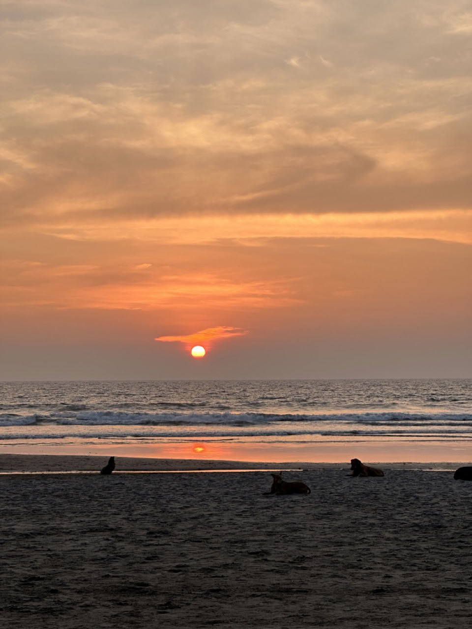 Viaje con Kristina y Navid