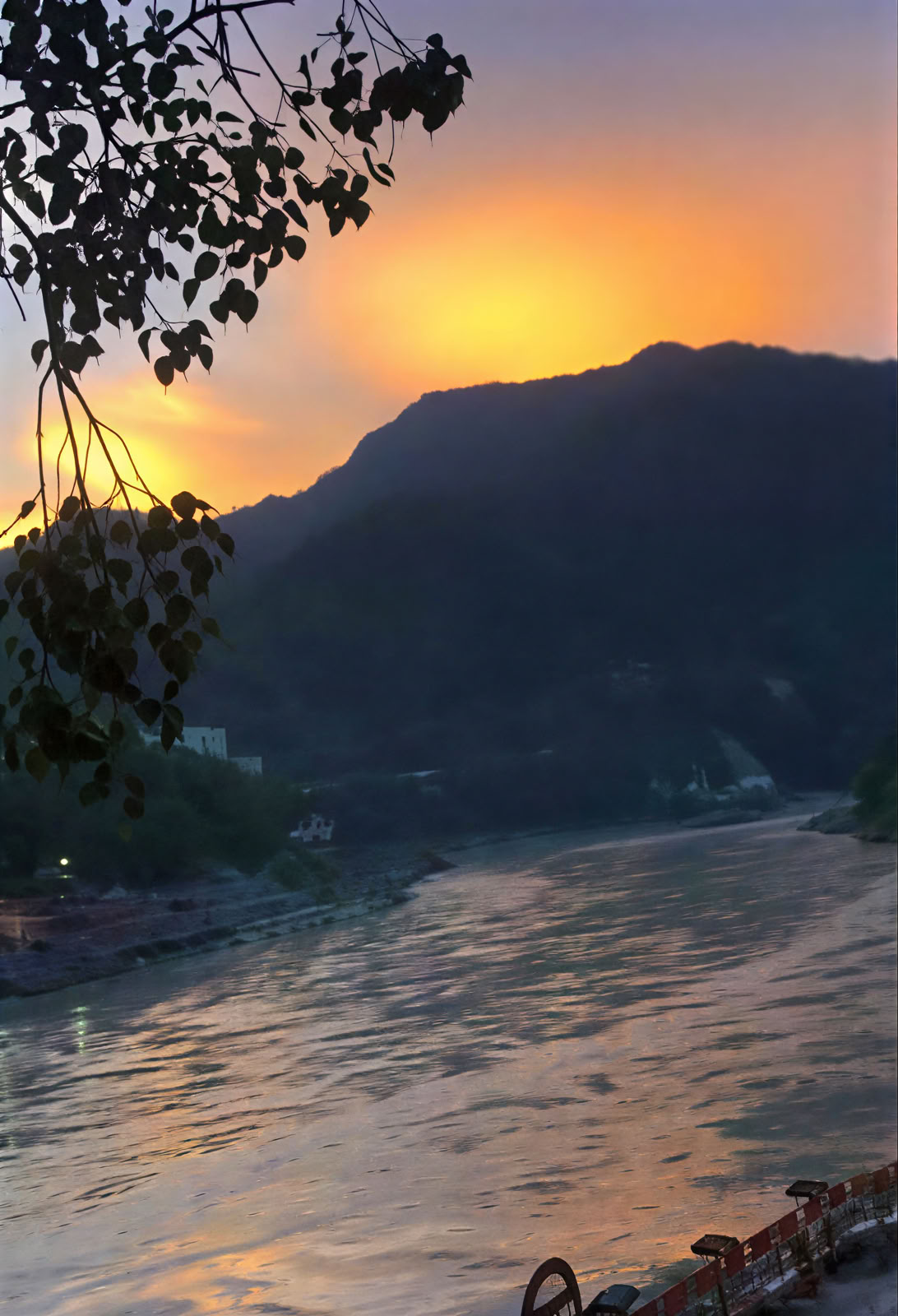 Curso de Ayurveda en Rishikesh