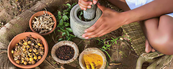 Formación de profesores de Ayurveda en Rishikesh