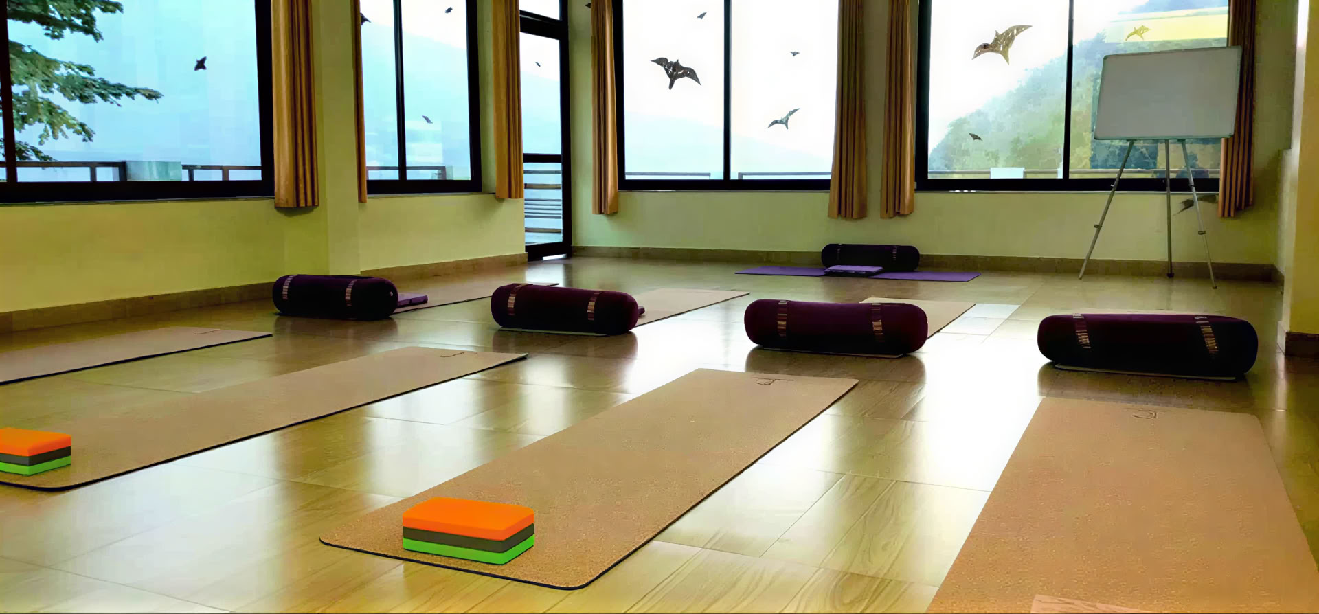 Retiro de Ashtanga Yoga