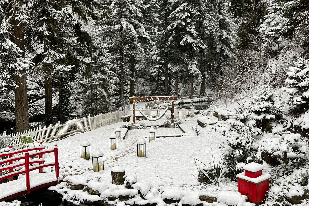 Mini retiro especial de Año Nuevo