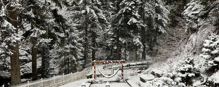 Retiro intensivo de yoga y bienestar en los Alpes franceses