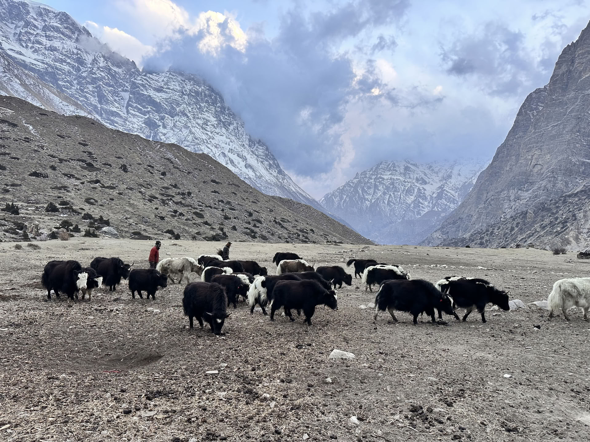 Trekking de yoga por el circuito de Annapurna