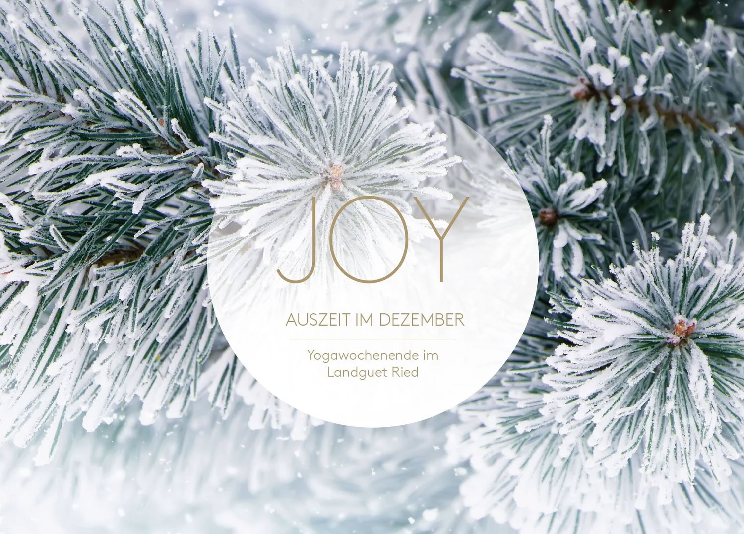 Pausa de yoga en diciembre | con Joy Yoga — Landguet Ried, centro para una vida consciente | centro de retiros y casa de seminarios