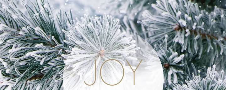 Pausa de yoga en diciembre | con Joy Yoga — Landguet Ried, centro para una vida consciente | centro de retiros y casa de seminarios