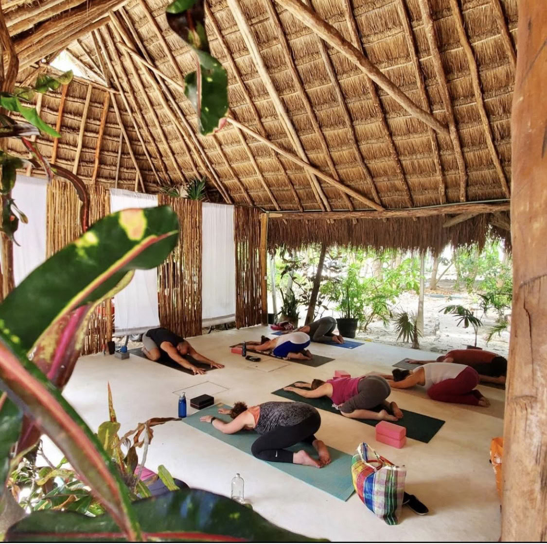 Vacaciones de 7 días de yoga y fitness para respirar, quemar y florecer en la Riviera Maya