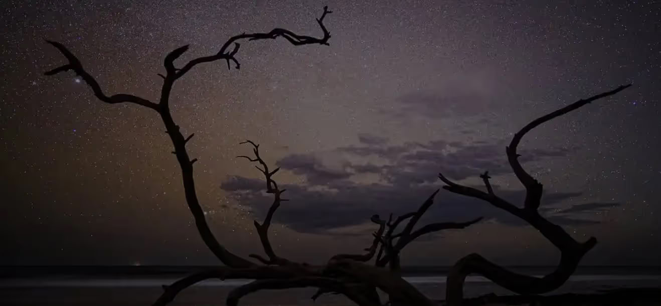 Limpieza del Mar Muerto