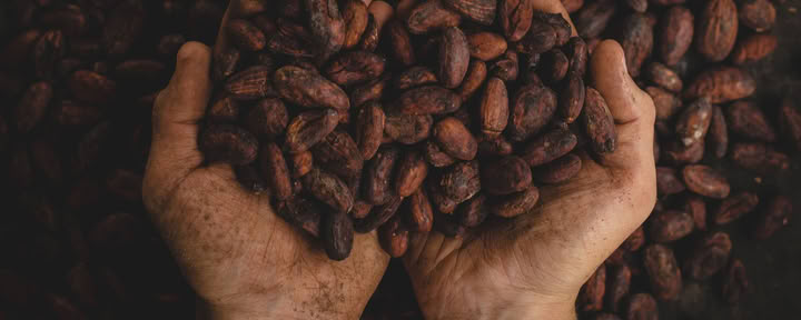 Ceremonia privada de cacao