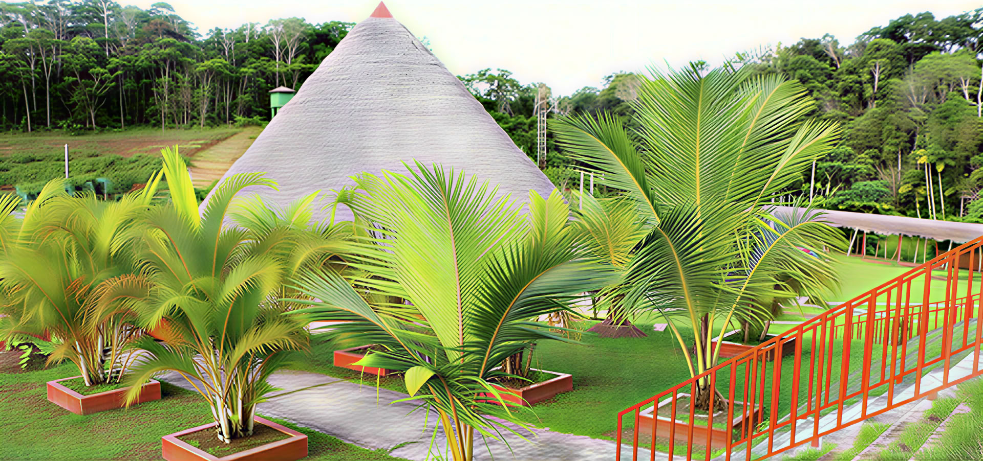 Ayahuasca e Iboga (Retiro de Vitalidad)