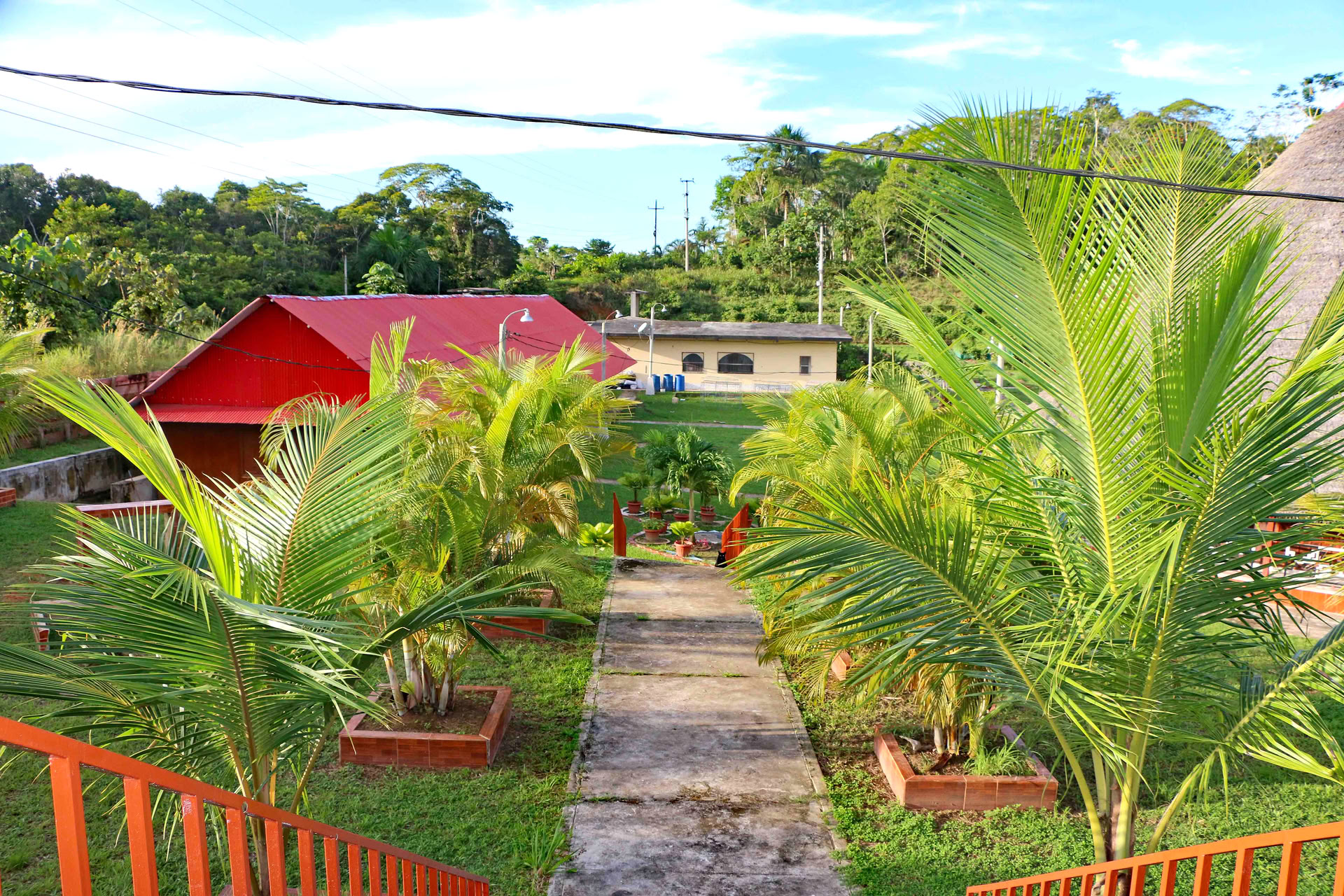 Ayahuasca e Iboga (Retiro de Vitalidad)