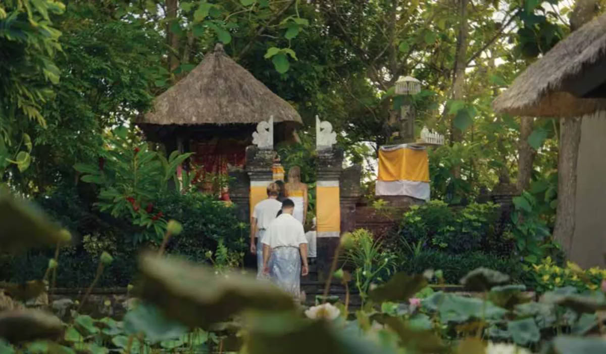 Retiro de longevidad holística
