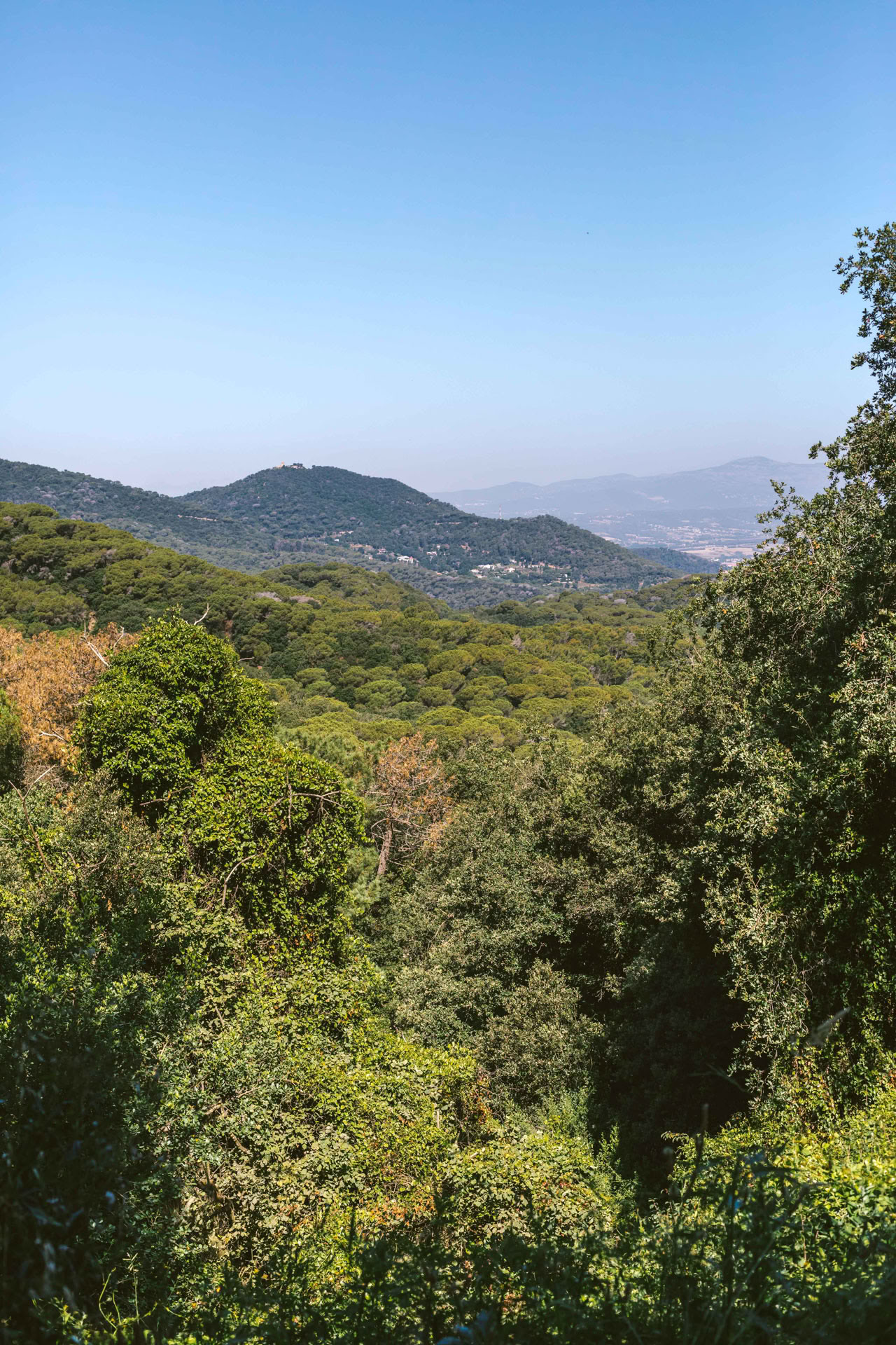 Descubriendo el paisaje a cada paso