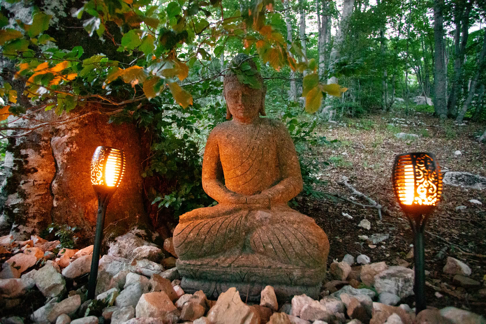 Retiro de meditación de 6 días con Dinesh