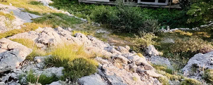 Retiro de yoga de 6 días: equilibrio, sanación y recarga