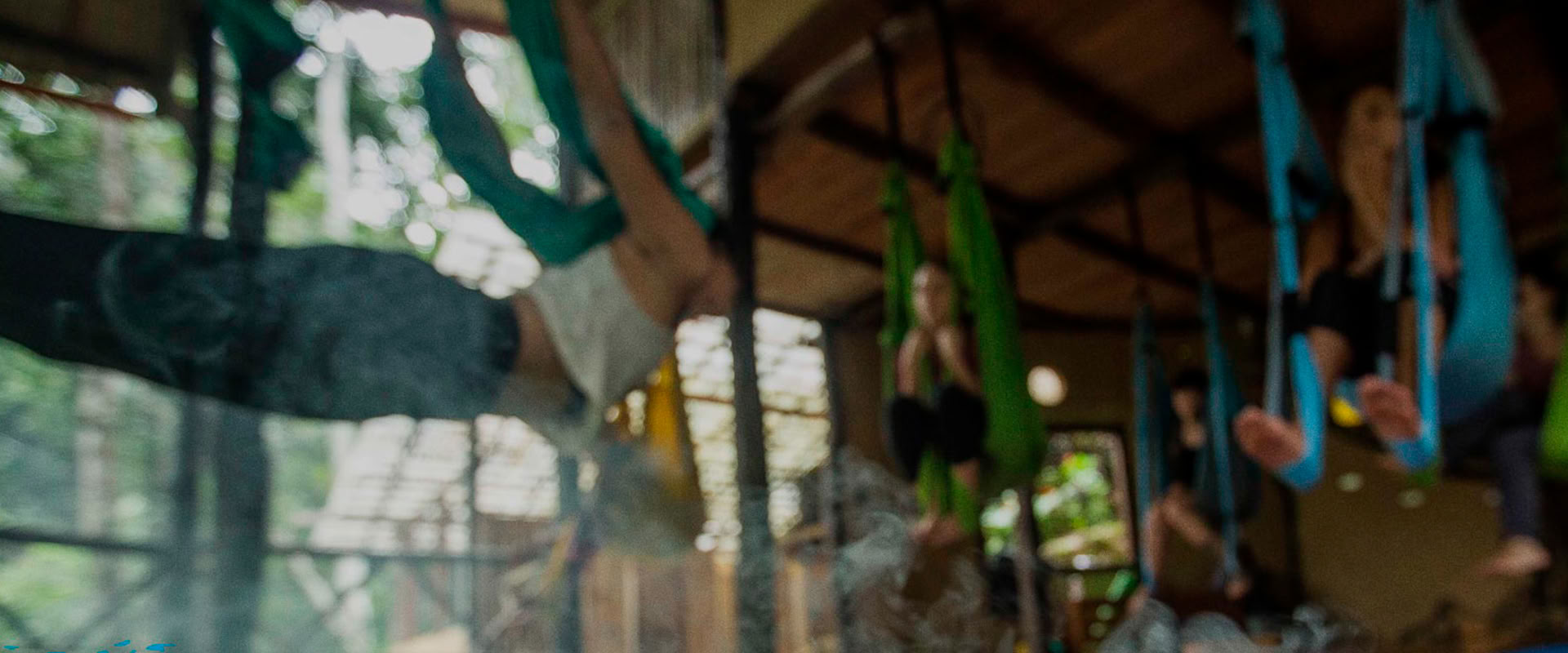 Mindfullnes y Yoga en la naturaleza