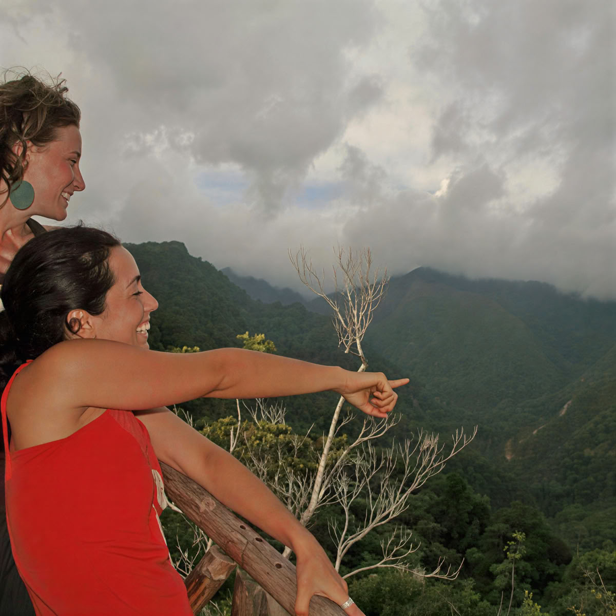 Mindfullnes y Yoga en la naturaleza