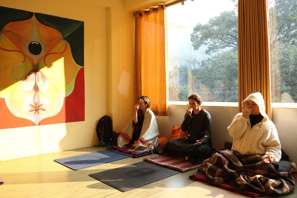 Formación de profesores de yoga de 100 horas en Rishikesh, India