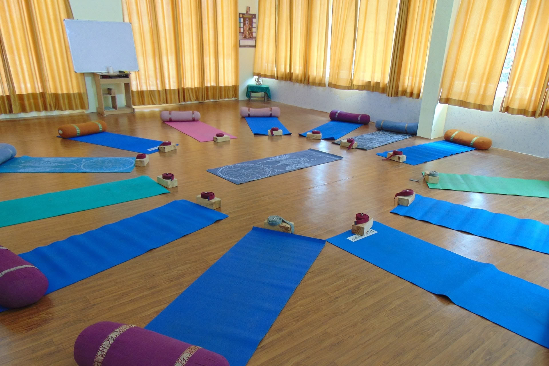 Curso de Yin Yoga de 6 días en Rishikesh