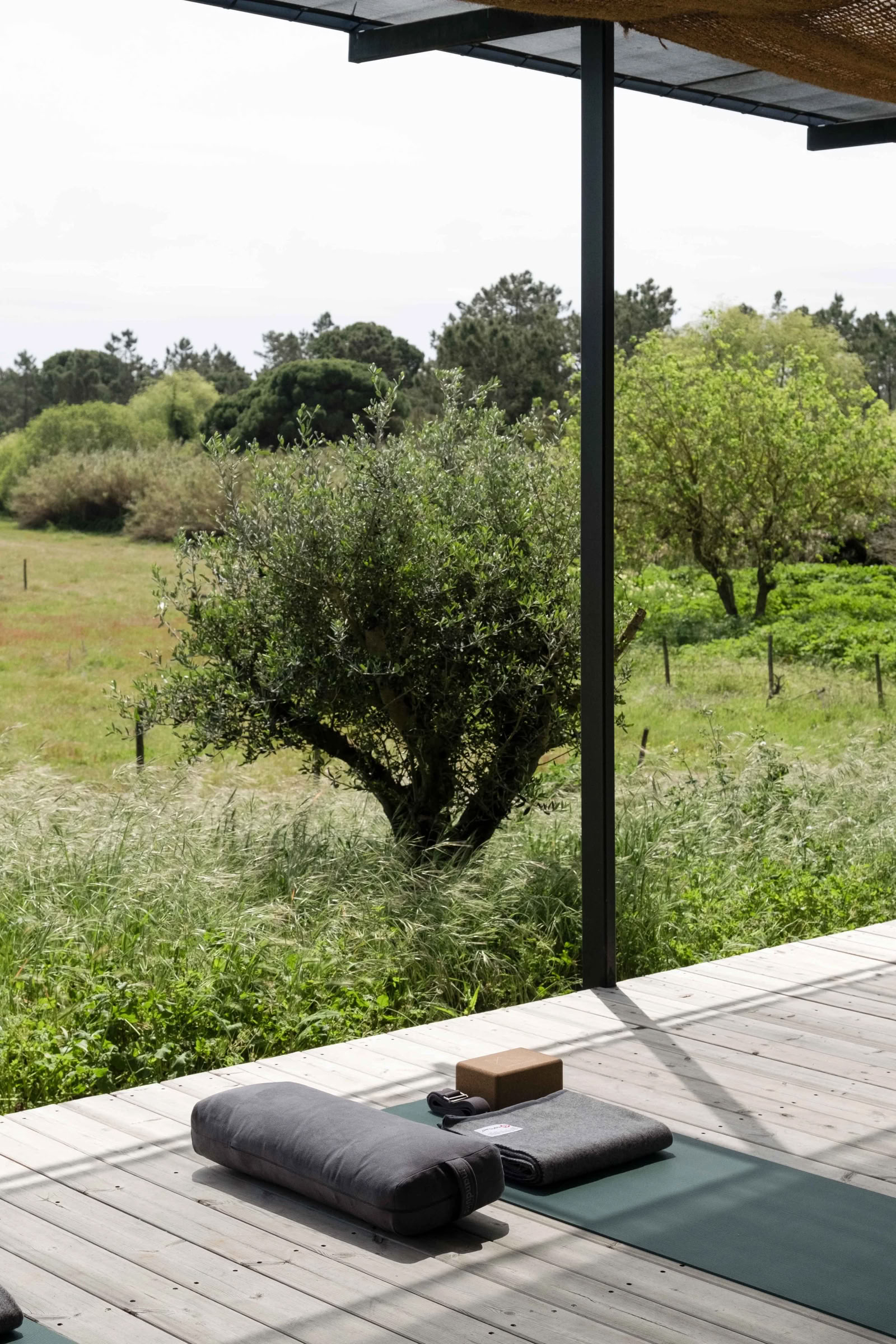 Raíz y Eleva: Retiro de Yoga en Portugal, septiembre de 2026