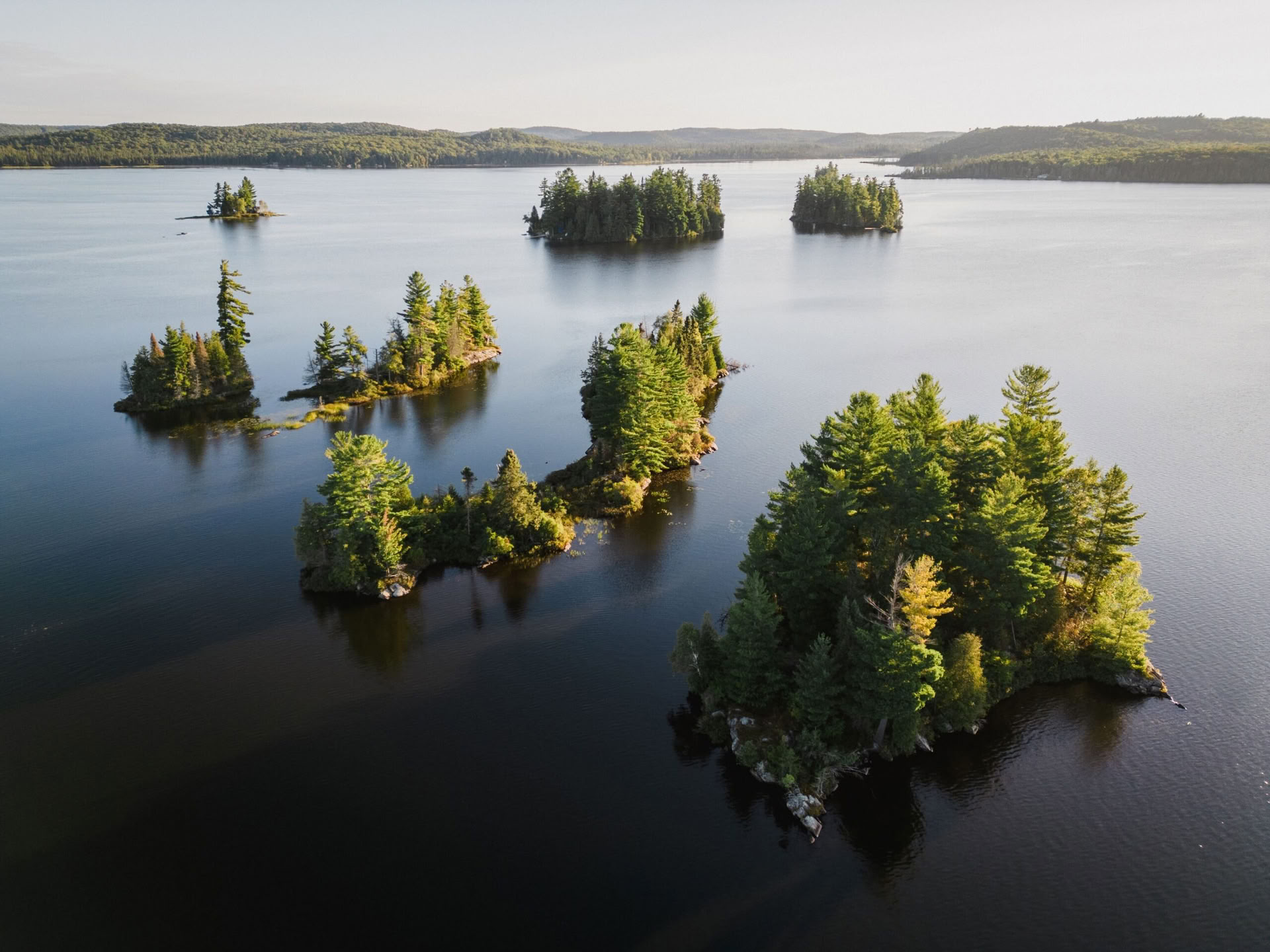 Libera y Reponte: Retiro de Otoño en Algonquin Park