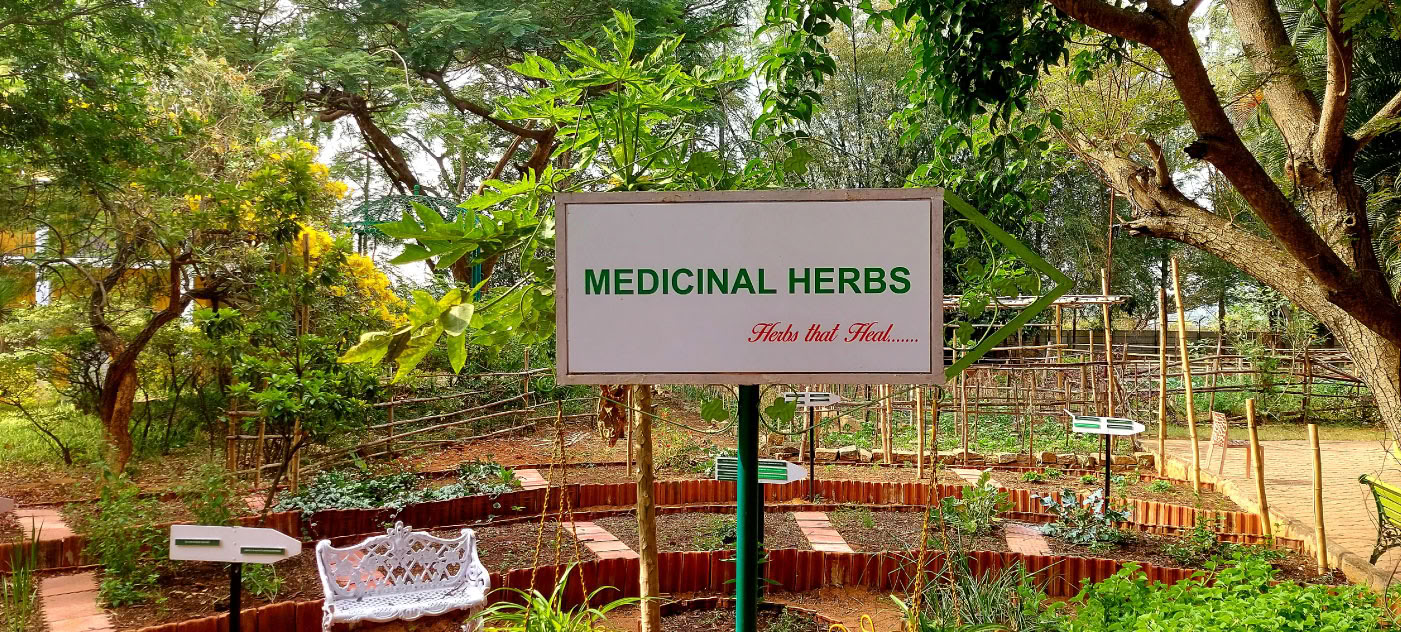 Ayurveda para geriatría