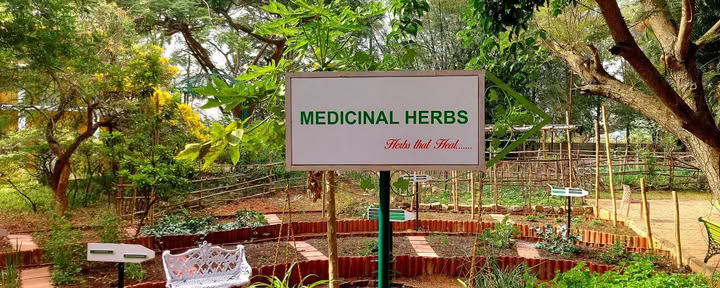 Ayurveda para geriatría