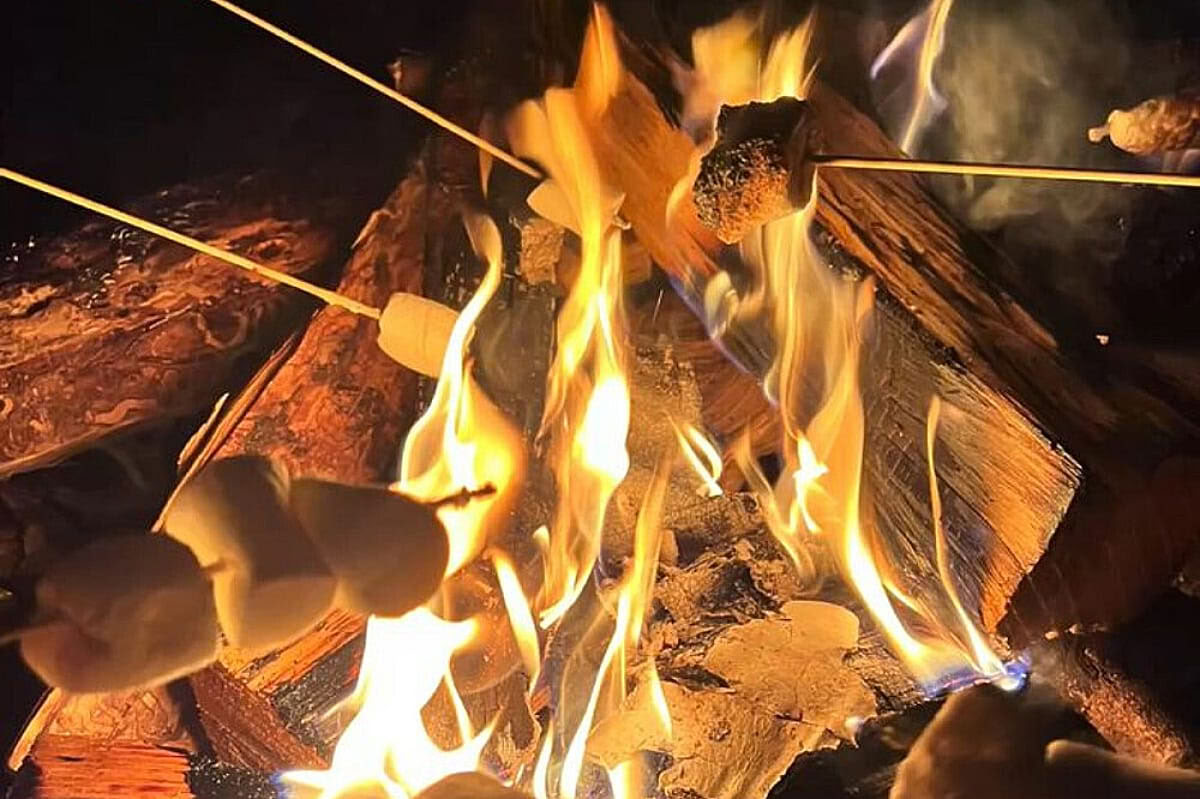 Retiro de glamping de 3 días para cuerpo y alma en Cotswolds, Reino Unido