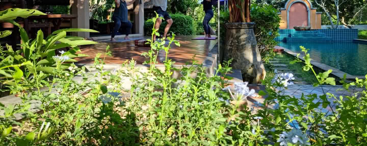 Retiro de yoga exclusivo a medida