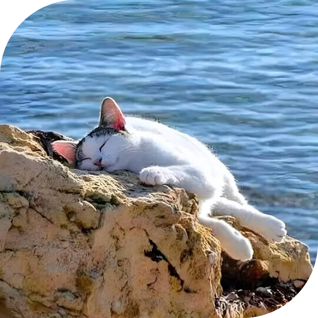 Una exploración de yoga por las islas griegas 2027