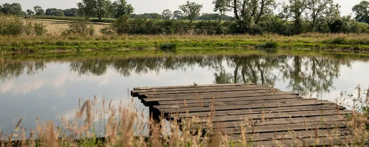 Florecer: Un día para volver a ti mismo