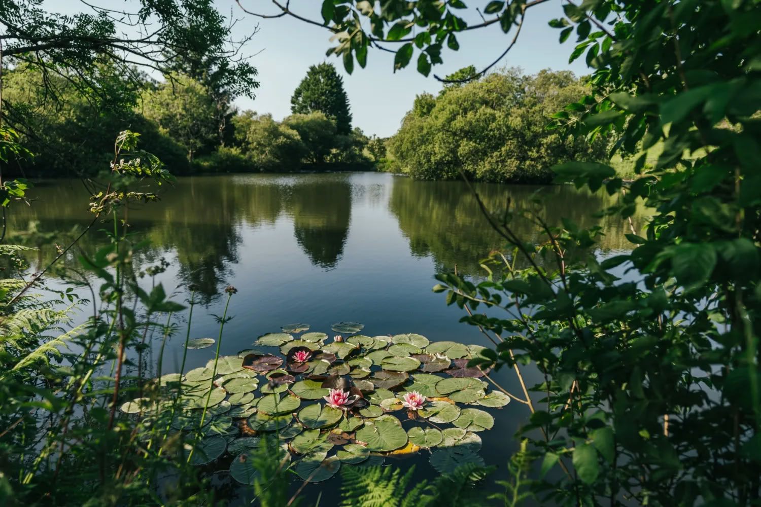 RESET | Retiro de agotamiento y desarrollo personal para mujeres en Cornwall, octubre de 2026