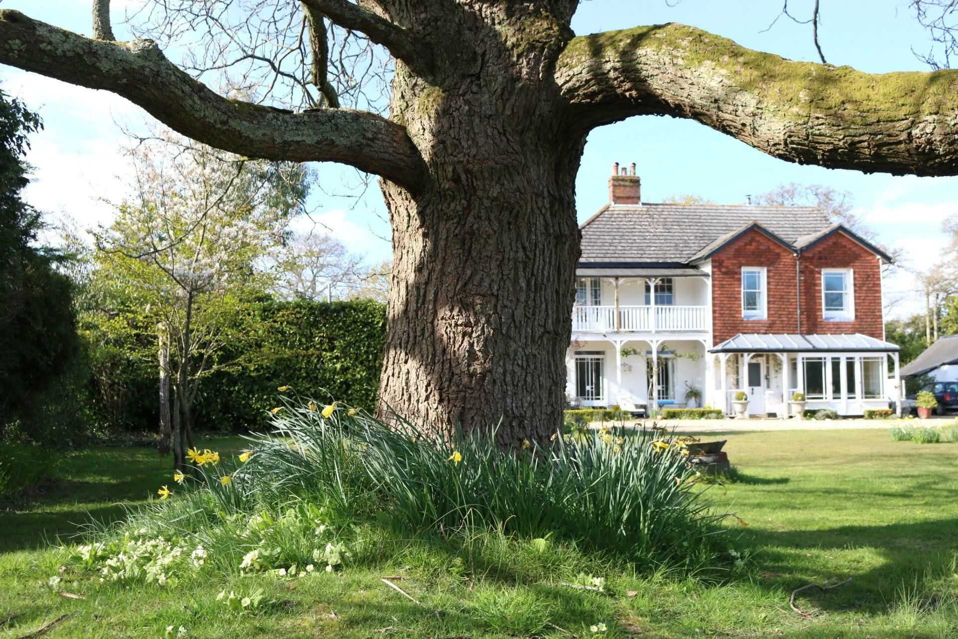 Retiro de yoga, caminata y cerámica en New Forest, Hampshire