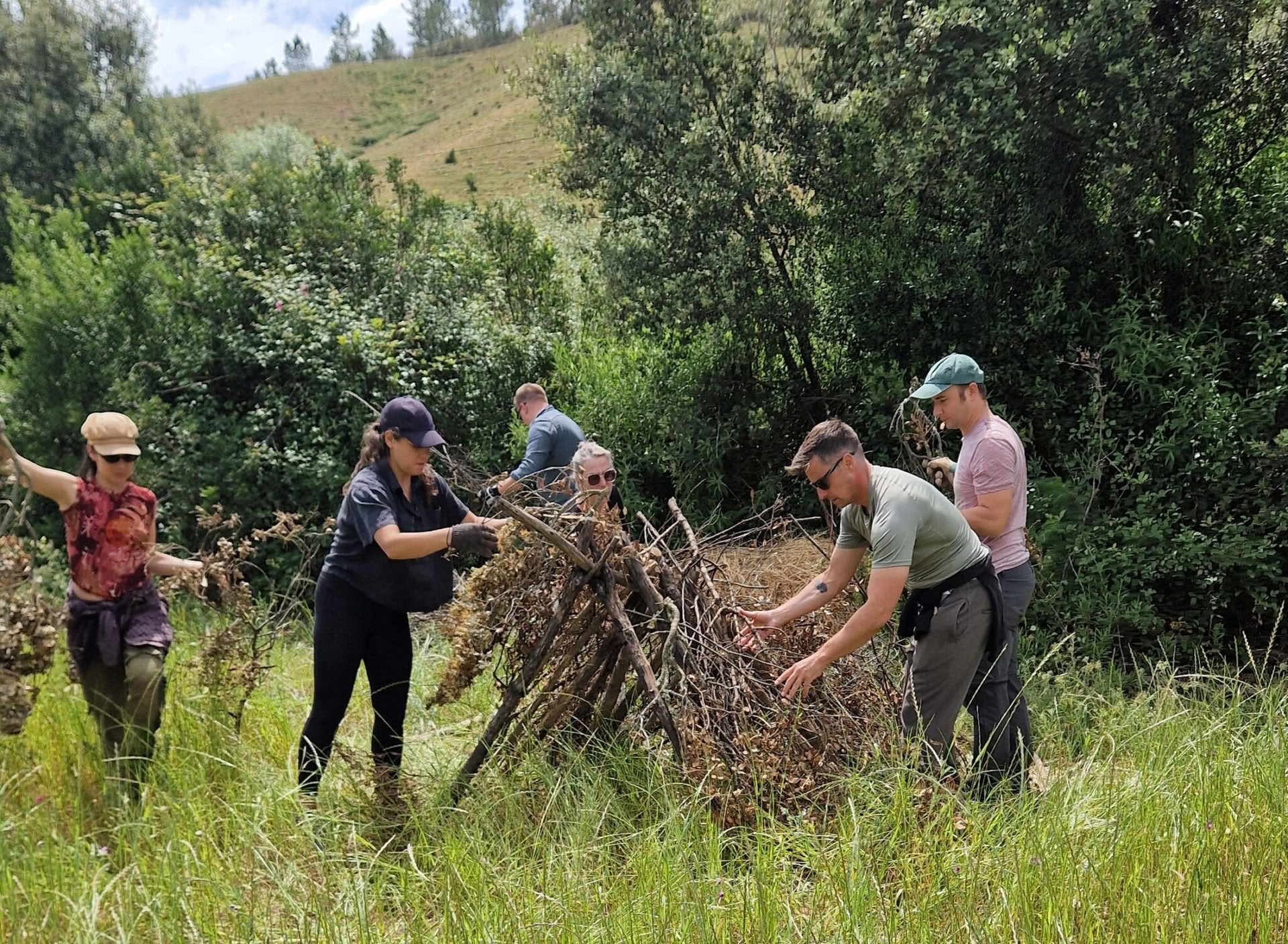 Supervivencia Esencial en la Naturaleza Salvaje