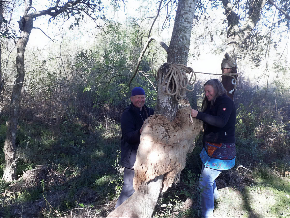 Supervivencia Esencial en la Naturaleza Salvaje