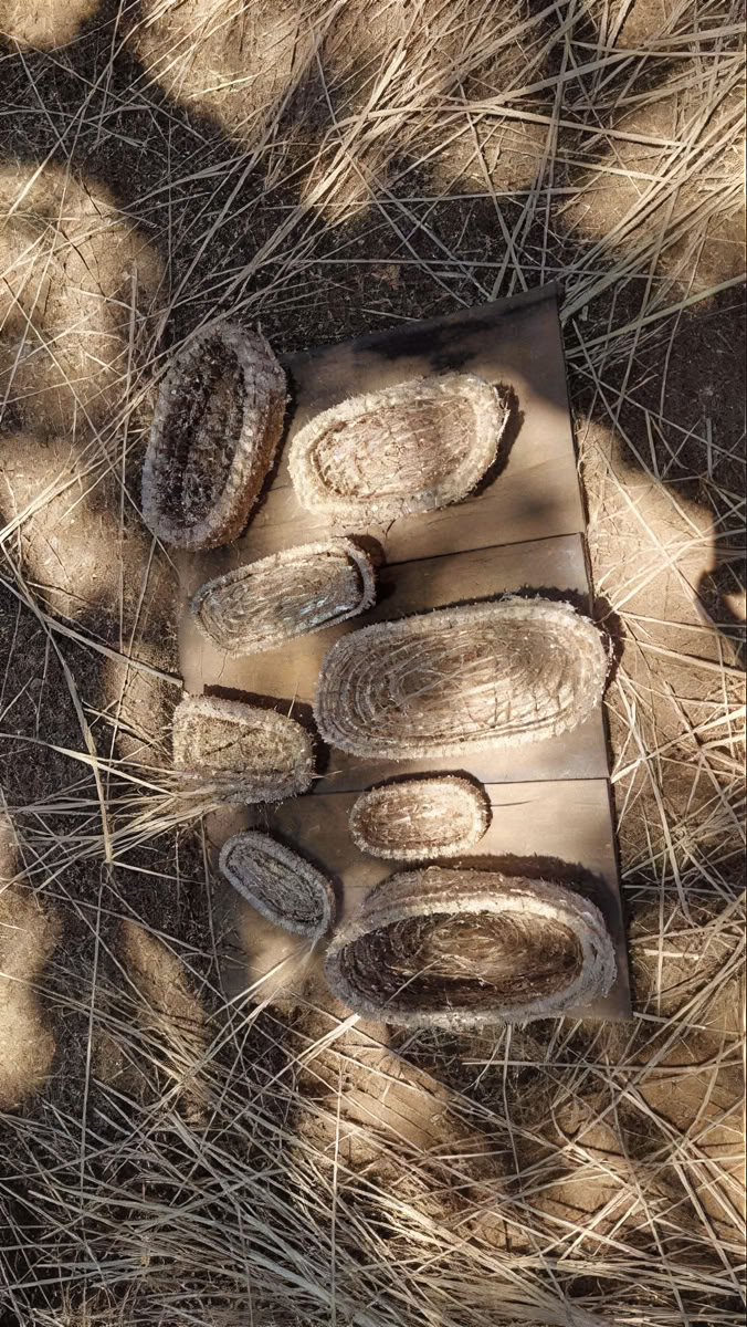 Misticismo de la naturaleza