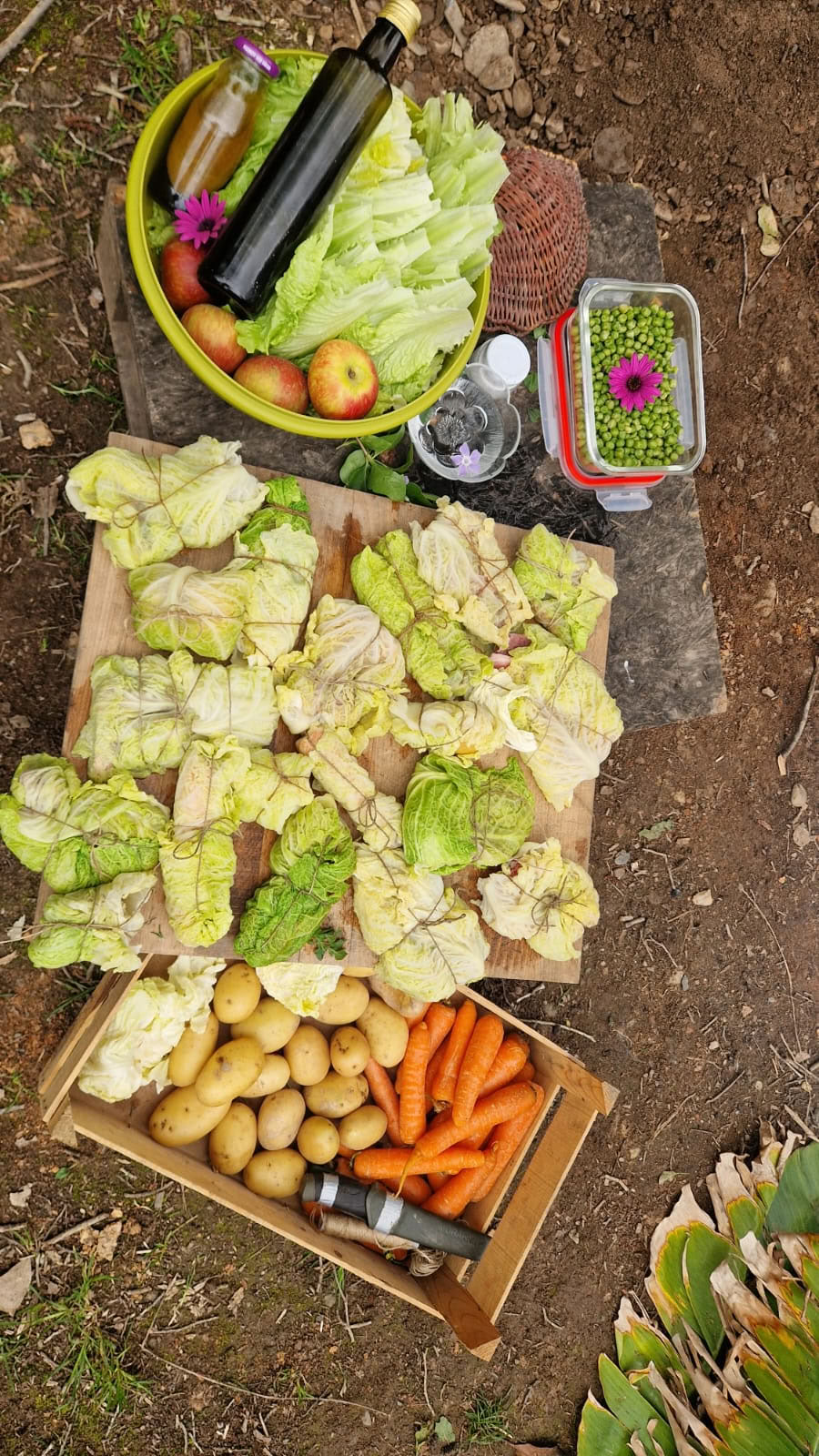 Cocina al aire libre