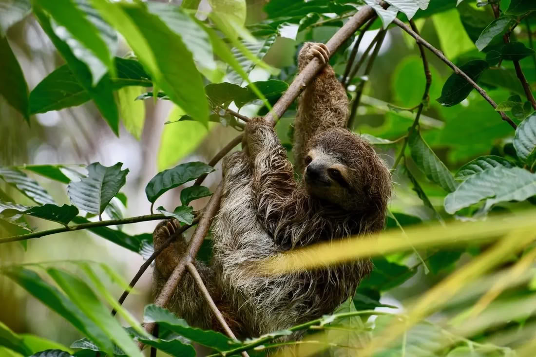 Retiro Bendecido por la Naturaleza Costa Rica