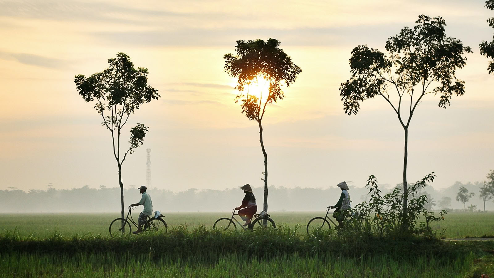 Retiro de yoga enriquecedor y senderismo en Vietnam 2026
