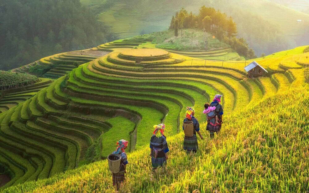 Retiro de yoga enriquecedor y senderismo en Vietnam 2026