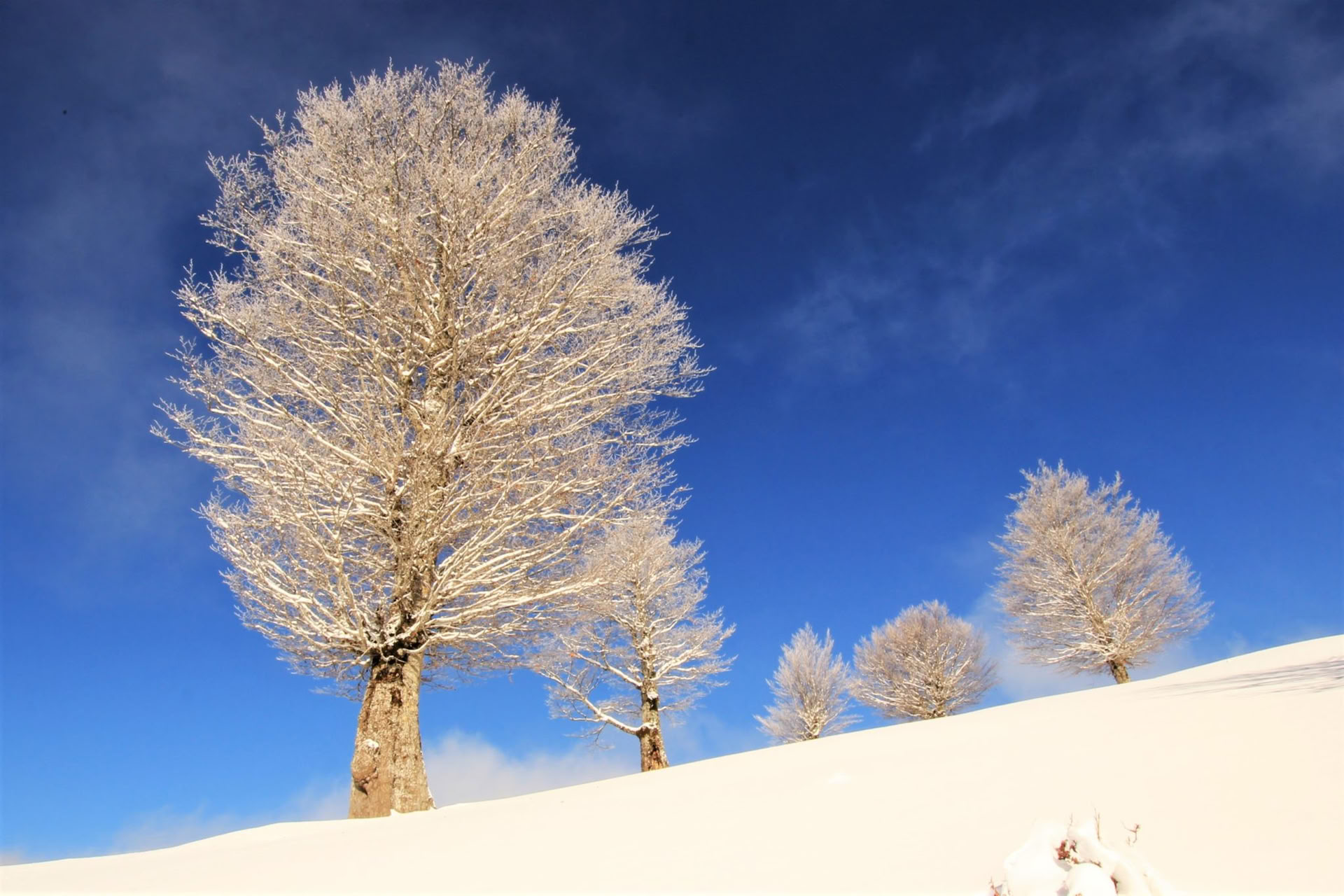 7 días de vacaciones de actividades de invierno en Montenegro