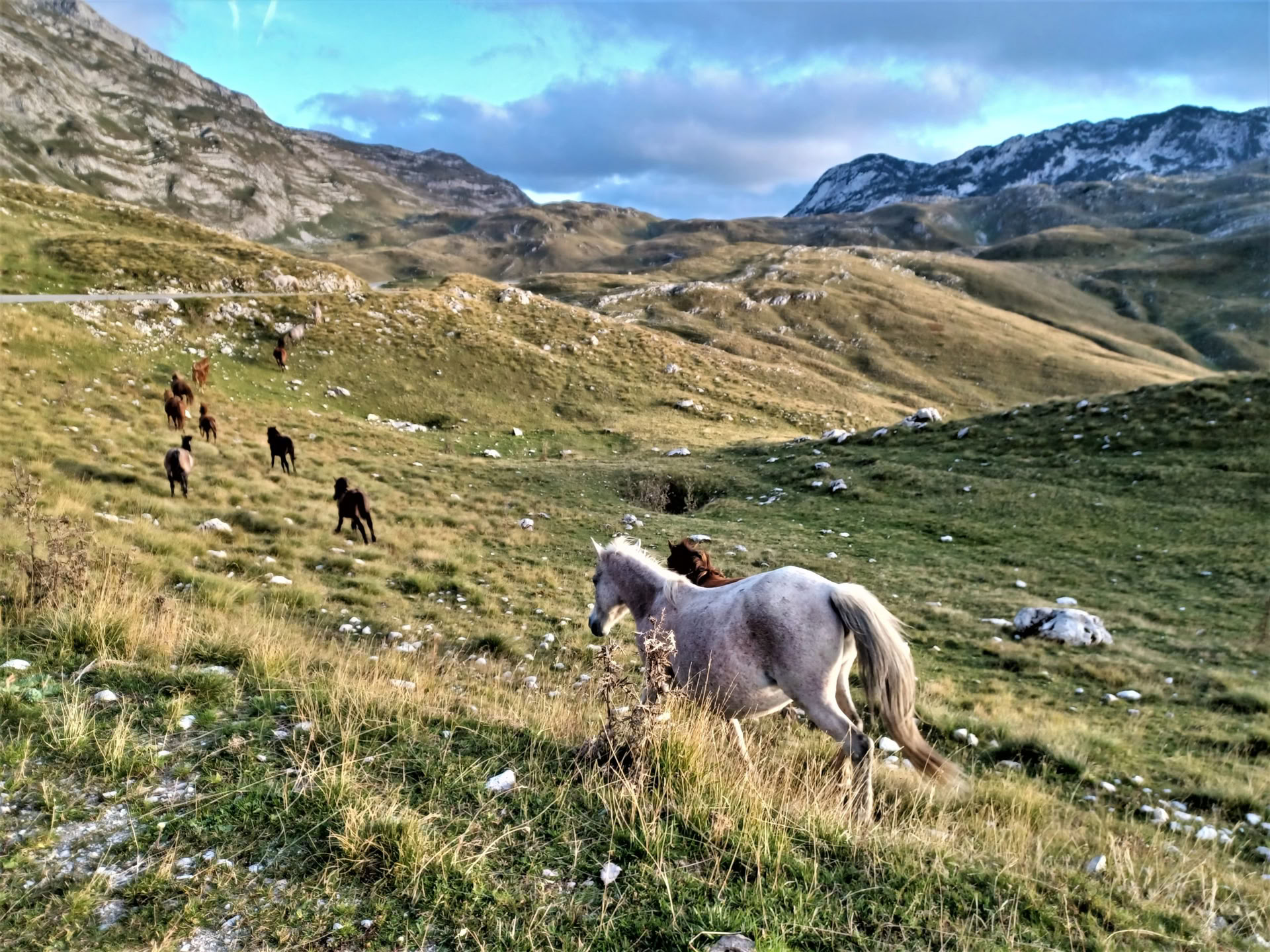 Vacaciones de senderismo de montaña de 7 días en Montenegro
