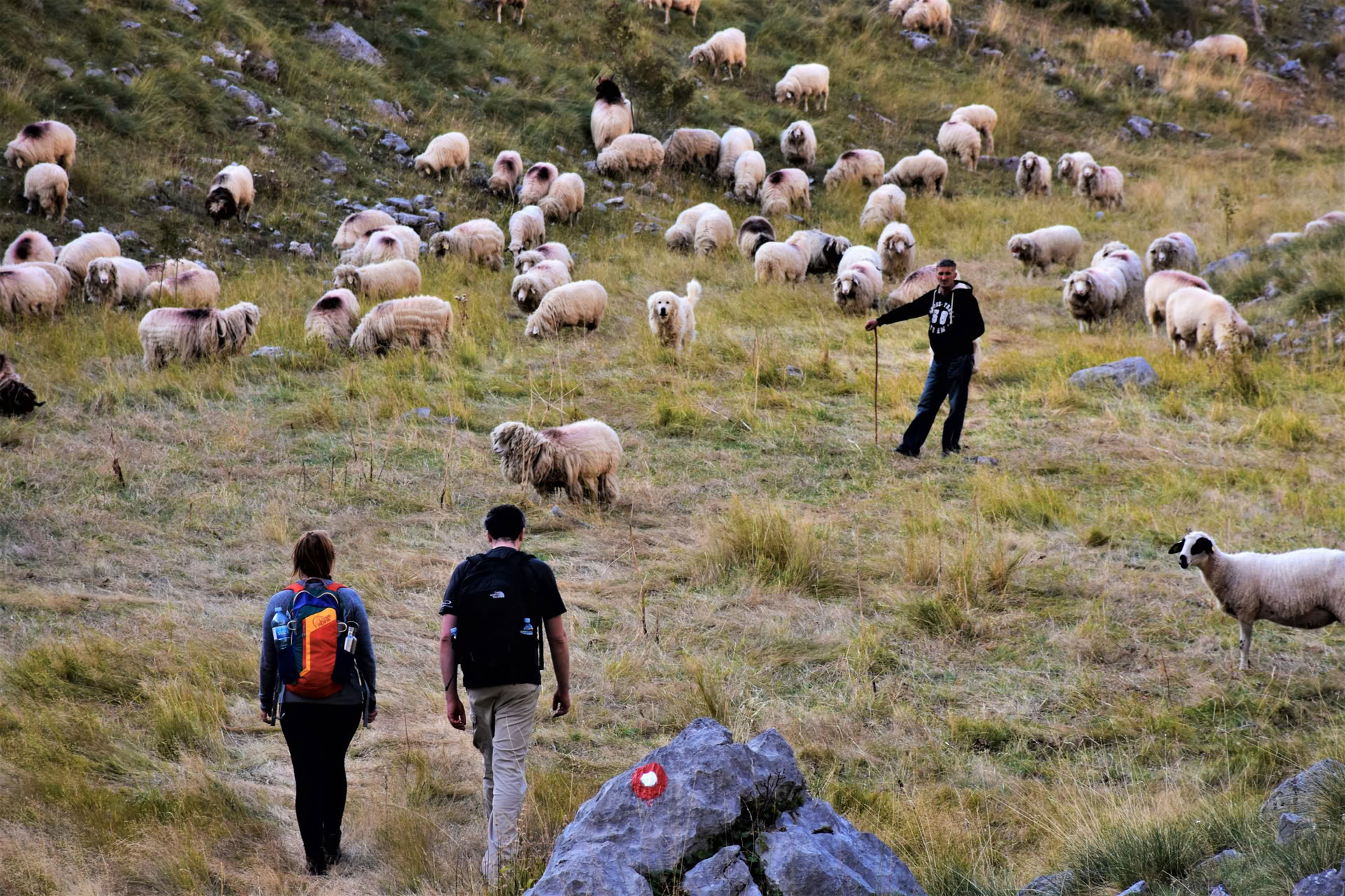 Vacaciones de senderismo de montaña de 7 días en Montenegro
