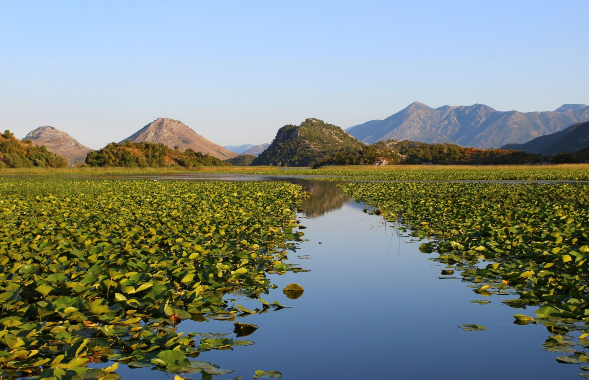 Vacaciones de yoga de 7 días respirando en la naturaleza en el lago Skadar, Montenegro