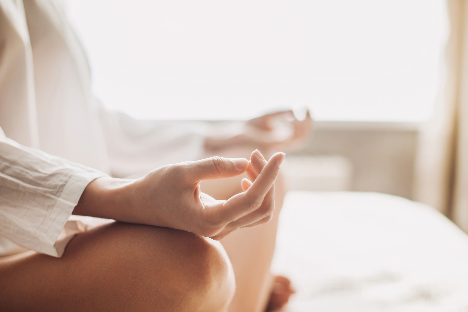 Retiro de medio día de yoga y salud intestinal